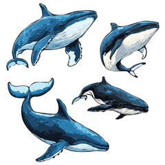 My Very Simple flat 2D icon of a Collection of whale elements isolated on a transparent background, vector, flat design, simple flat 2D icon, eps format