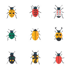  A Very Simple flat 2D icon of a Collection of insect isolated on a transparent background, vector, flat design, animation design, vector, simple flat 2D icon, minimalist, eps