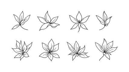 Bird of Paradise line art minimalistic modern floral design artwork