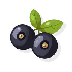 My Simple flat 2D illustration bilberry isolated on a transparent background, vector, flat design, animation design, simple flat 2D icon, clipart