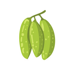 A Simple flat 2D icon bilimbi isolated on a transparent background, vector, flat design, animation design, simple flat 2D icon, minimalist design, clipart, illustration