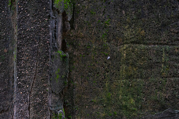 Obraz premium Photo of wall texture pattern