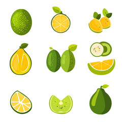 My Simple flat 2D illustration breadfruit collection isolated on a transparent background, vector, EPS, flat design, animation design, simple flat 2D icon, clipart