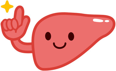 Cartoon liver icon - healthy smiling liver