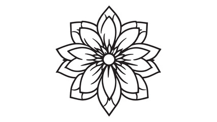 Chrysanthemum line art detailed floral design on white background