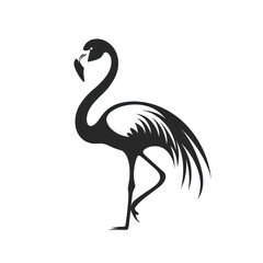 Naklejka premium Flamingo Silhouette