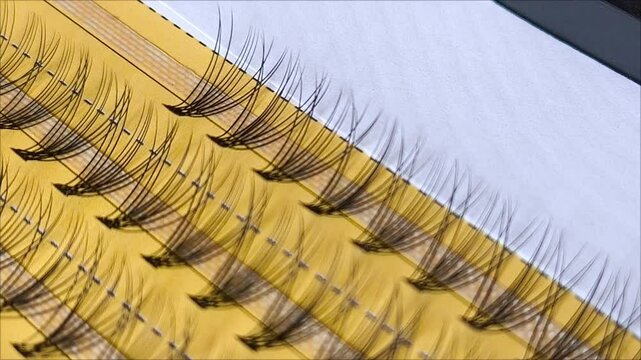 Bundles of eyelashes for extensions in a plastic container. Packaging of artificial eyelashes. Cosmetic procedure for eyelash extension. 