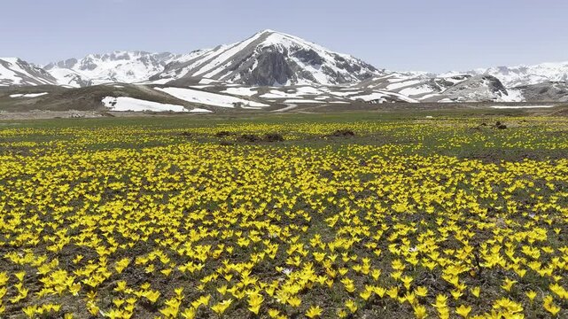 Spring landscapes in the EGRIGOL region, one of the popular plateaus of Antalya