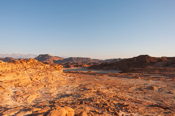 Fototapeta premium A desert landscape with a clear blue sky