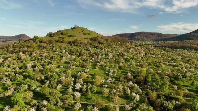 Fr&uuml;hlingserwachen an der Limburg &ndash; Bl&uuml;hende Streuobstwiesen bei Weilheim an der Teck aus der Luft.
