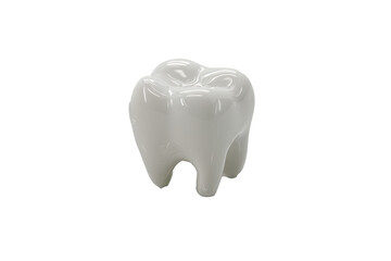 single lion tooth resting on a minimal 