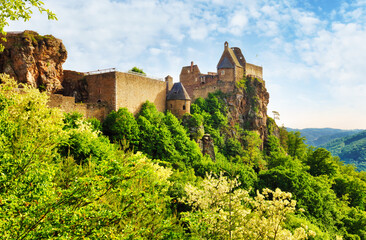 Obraz premium Wachau valley and Danube river. Aggstein medieval castle. Austrian landmark