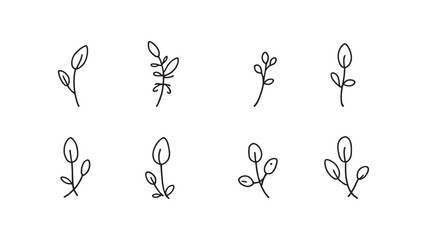 Jasmine Leaf line art illustration in delicate minimalistic style