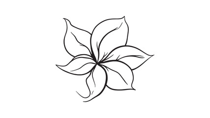 Lily line art floral sketch minimalist black ink hand drawing