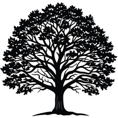 tree with roots with shilloute vector
