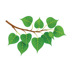 Bodhi Tree Branch, Bo leaves ,  Sacred fig leaves Vector for Vesak Day – Sacred Buddhist Symbol Illustration