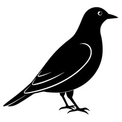 Obraz premium vector silhouette of a starling perched with beak slightly open, 