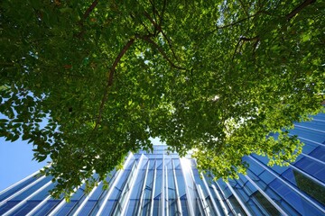 Modern_Architecture_Meets_Lush_Nature:_A_Sustainable_Urban_Oasis