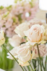 Dreamy pale pink roses with blurred background