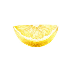 Watercolor illustration of lemon slice isolated on a white background.