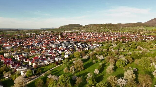Weilheim an der Teck aus der Luft. Fr&uuml;hlingserwachen an der Limburg &ndash; Bl&uuml;hende Streuobstwiesen. 