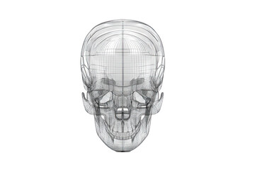 wireframe logo skeletal structure, transparent effect, futuristic feel, clean 