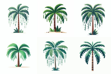 Stylized Palm Tree Illustrations Set