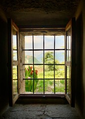 window with a view