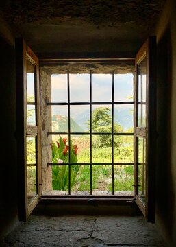 window with a view