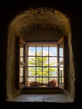 Window with a view