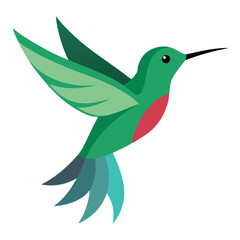 hummingbird on illustration vector on white background