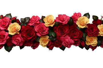 Obraz premium A red rose border with pink and yellow roses on a transparent background