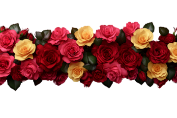 A red rose border with pink and yellow roses on a transparent background