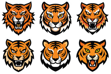 bundle of tiger heads, a big feline predator with a distinct head and fur, illustrated in a cartoon vector