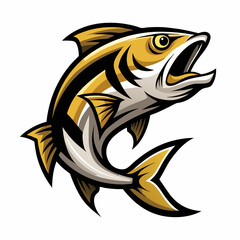 fish on a white background