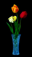 bouquet of tulip flowers standing in vase on black background