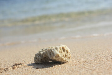 rock at the beach