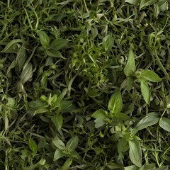 Naklejka premium Eco-friendly natural products and sustainable living concept with organic grains and biodegradable packaging