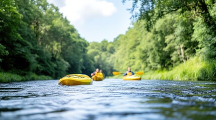 Kayaking on a serene river surrounded by lush green forest