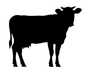 Cow silhouette. Black flat illustration on transparent background
