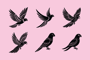 Rainbow Lorikeet bird, silhouette vector illustration