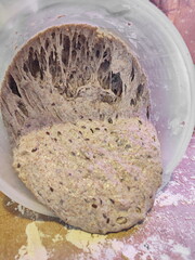 sourdough dough being pulled from a plastic bowl, forming threads and showcasing its gluten structure