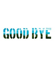 Good bye