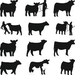 Show Steer Silhouette SVG, Cattle Show Silhouette, Print Show Heifer Silhouettes, show heifer Vector, Livestock