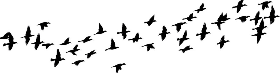 Obraz premium Abstract watercolor painting of birds