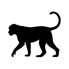 Illustration of a black monkey silhouette walking isolated on white background vector image