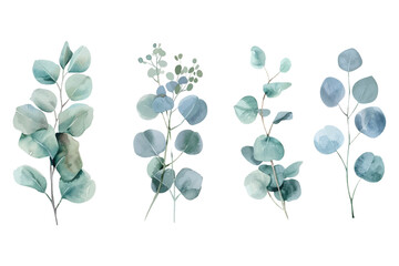 Adobe Illustrator Artwork © Natallia