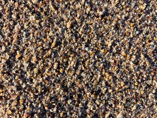 Close up of colorful seashell fragments and pebbles on a sandy beach. Natural textures and coastal aesthetics