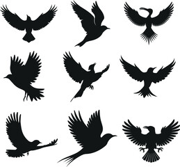 Obraz premium Flying birds silhouette vector set, Black and white birds vector art.