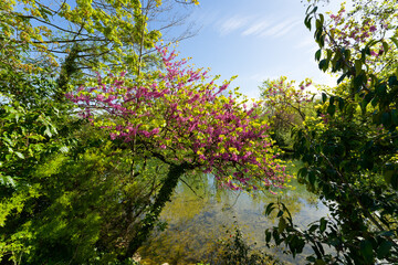Marne river bank in Créteil city